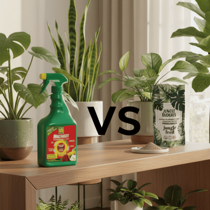 compartif KB vs jungle buddies
