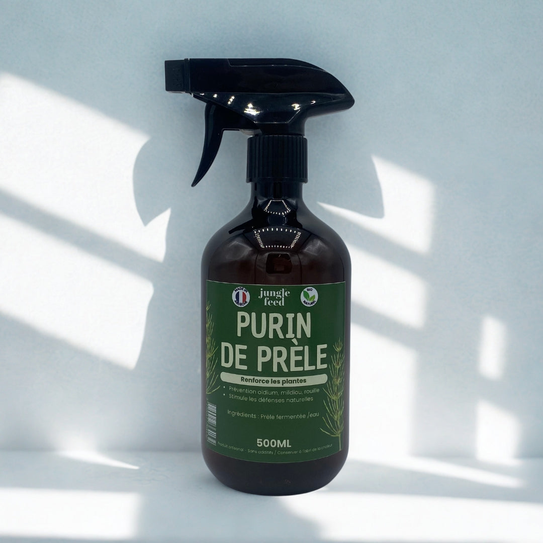 Purin de PrĂŞle