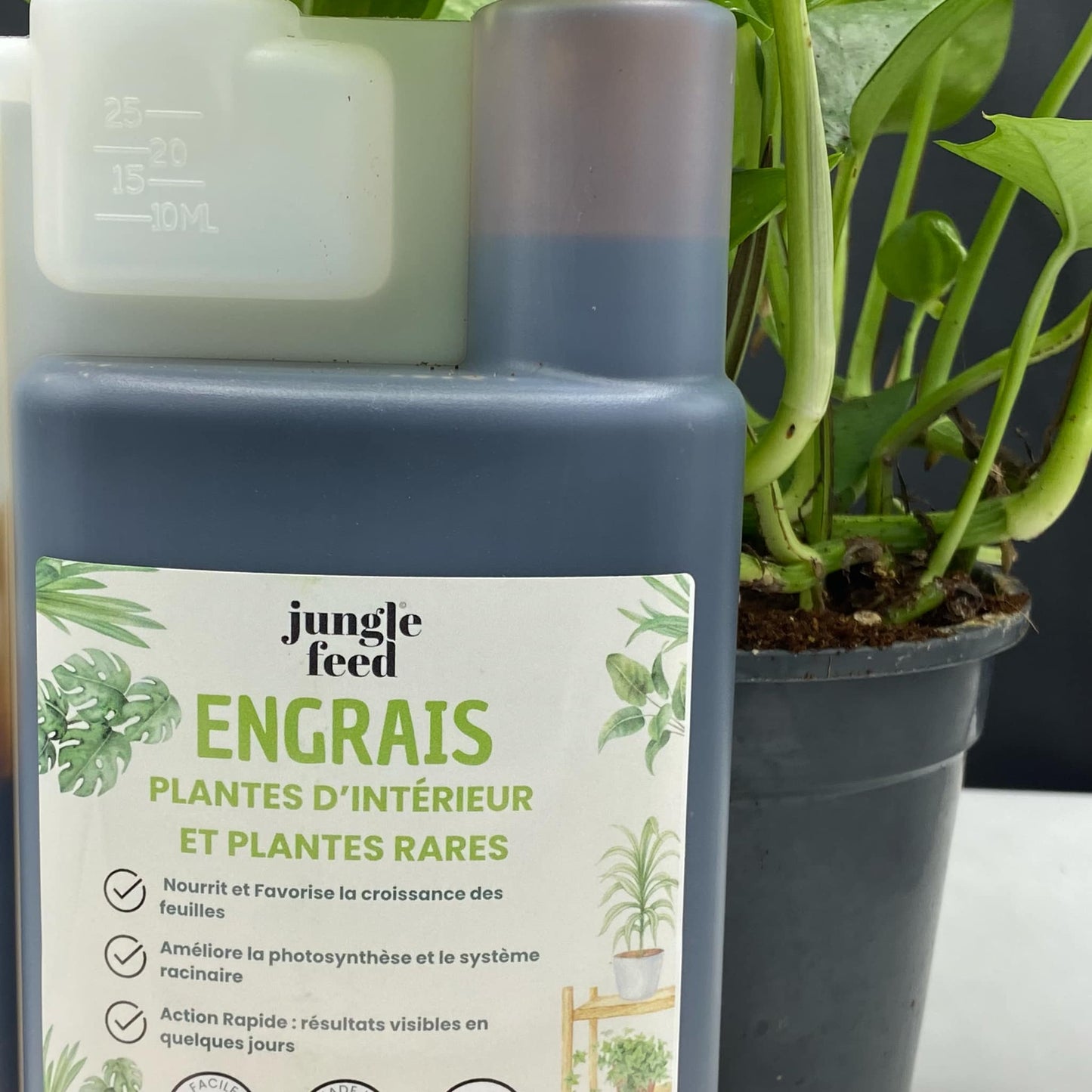 Engrais bio plantes d’intérieur et plantes rares - 500ml