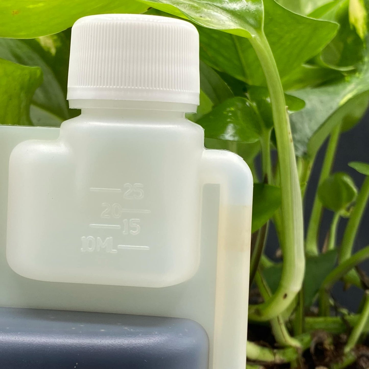 Engrais bio plantes d’intérieur et plantes rares - 500ml