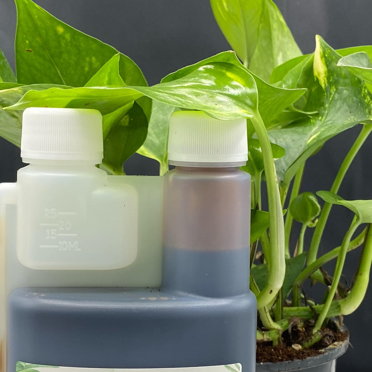 Engrais bio plantes d’intérieur et plantes rares - 500ml