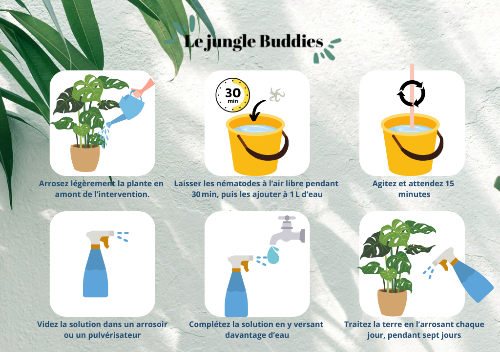 Anti Thrips, moucherons de terreaux et cochenilles - Buddies - 1 à 3 plantes
