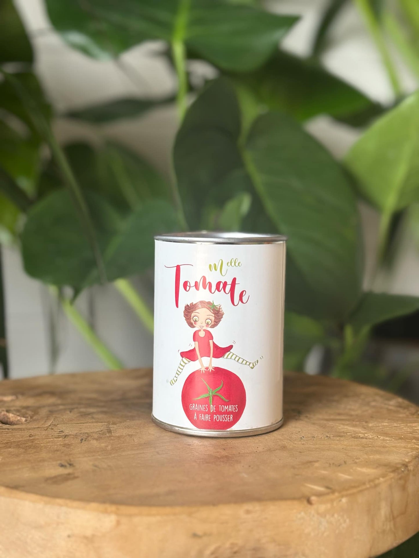 Graine de tomates en boite de conserve