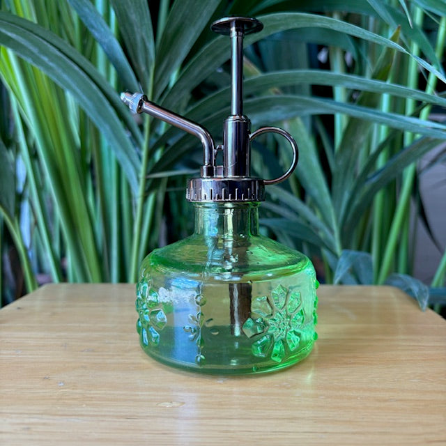 Vaporisateur pour plantes en verre