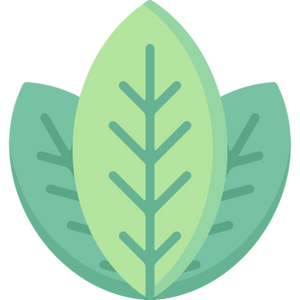 Logo feuille 3 couleurs