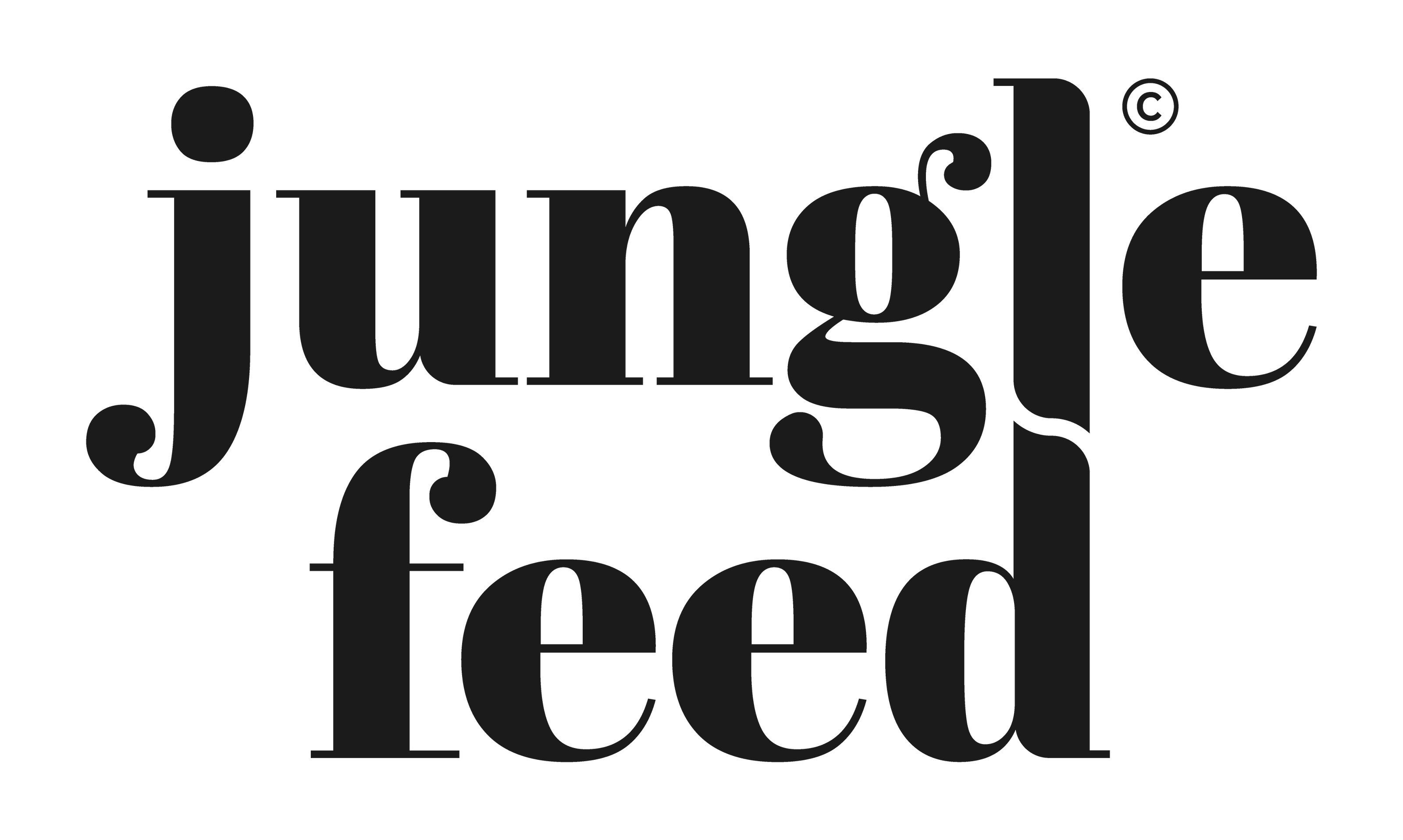 Logo jungle Feed noir