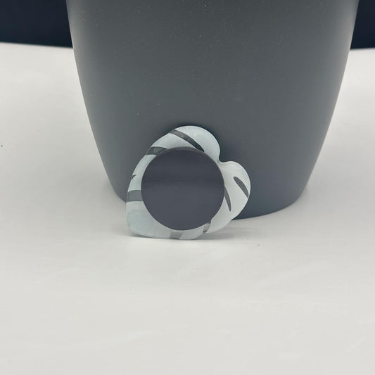 aimant monstera variegata vue de dos derriere un pot