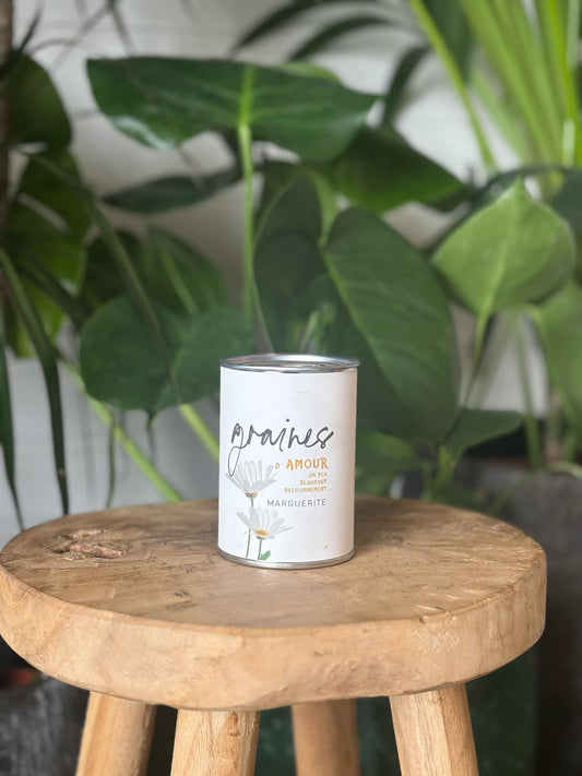 Set für den Anbau von Samen