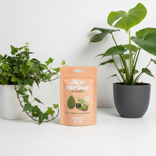 Clips Muraux pour Plantes Grimpantes