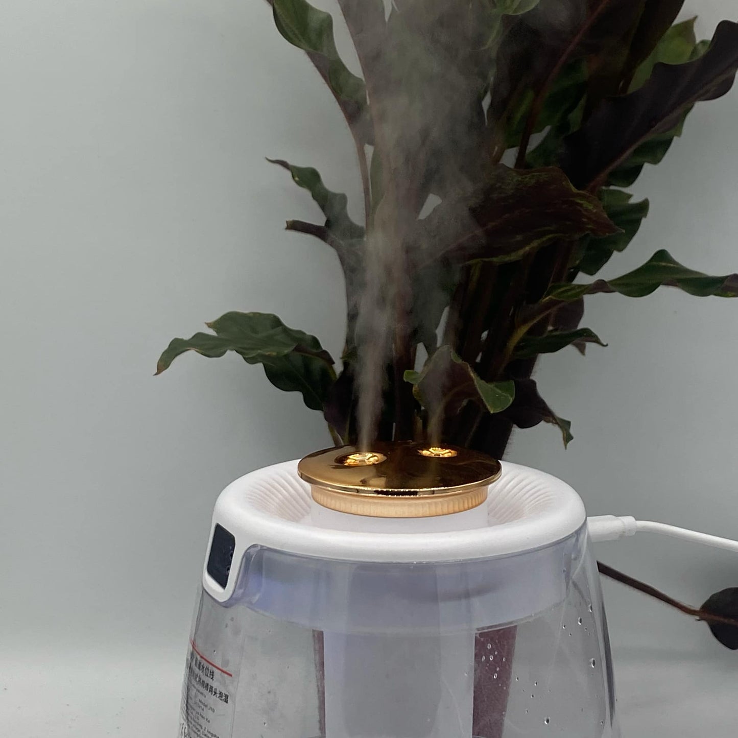 Zoom sur l'eau humide qui sort de l'humidificateur