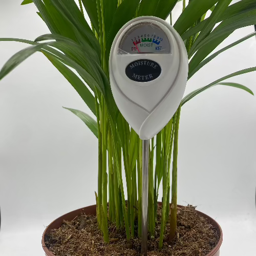 hydrometre blanc dans une plante pour capturer son taux d'humidité