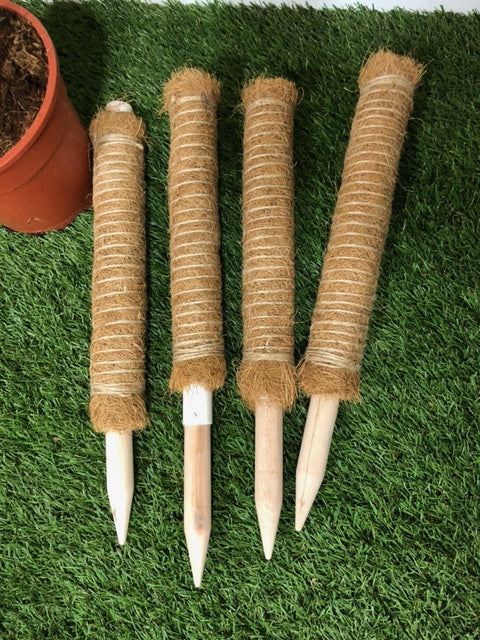 Tuteur en fibre de coco empilable