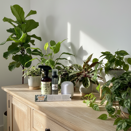 Les produits Jungle Feed pour l'entretien des plantes d'intérieur en hiver, incluant un purin d'ortie, une brume nettoyante et un diffuseur d'huiles essentielles, posés sur une table en bois clair.