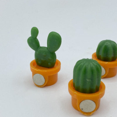 magnet cactus zoom