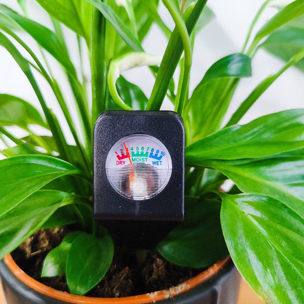 Mini - Hydromètre de Sol - Jungle Feed