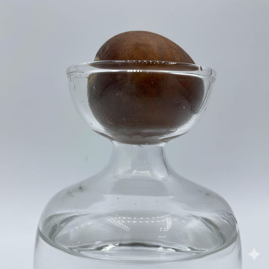 Gros plan sur un noyau d'avocat posé sur le goulot d'un verre en forme de carafe, avec de l'eau au fond, sur un fond blanc.