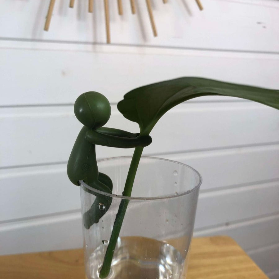 petit personnage en plastique vert foncé qui tient une feuille d'epipremnum aureum bouturé dans un verre d'eau