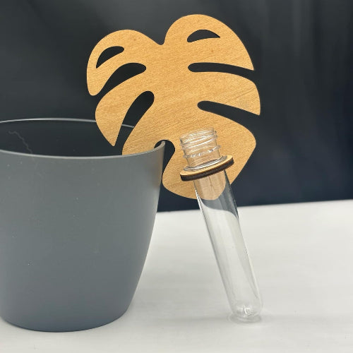 porte bouture posé sur un pot