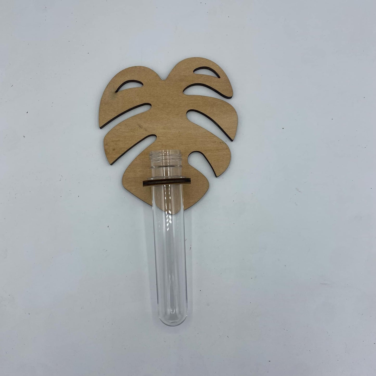 porte bouture tube à essai avec petite feuille de monstera