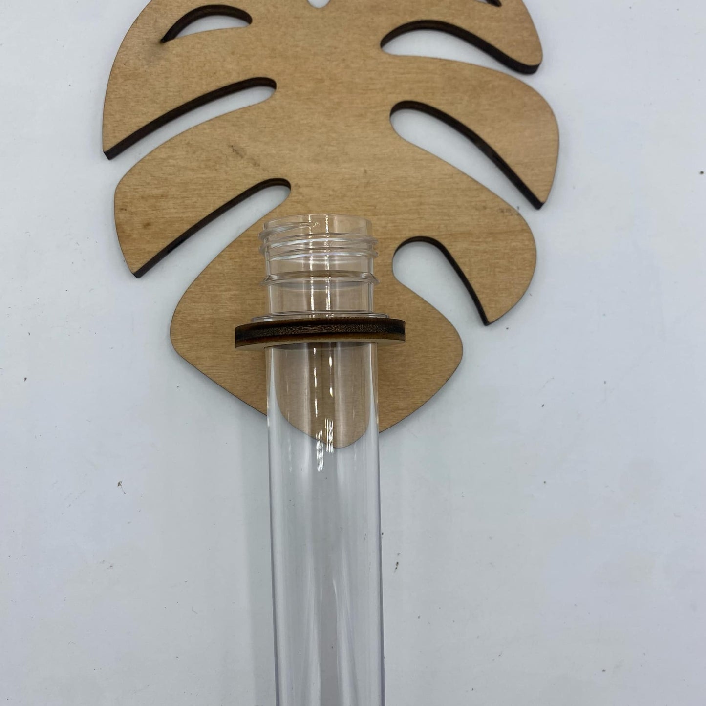 porte bouture avec tube à essai zoomé