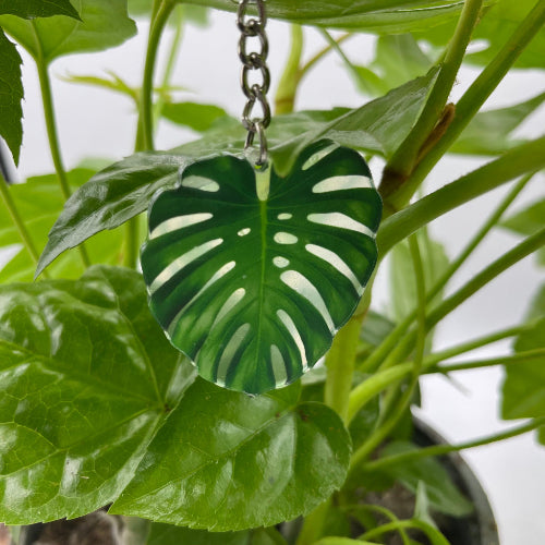 porte clé monstera deliciosa avec un fond de plantes