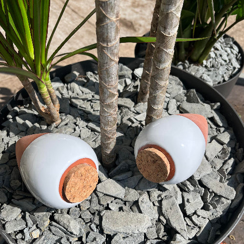 BIG PROMO : 2 pour 30 € - Olla d'Irrigation en Céramique -