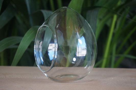 Terrarium vide en forme d'œuf fait en verre transparent, parfait pour créer un mini-paysage ou décorer un espace intérieur