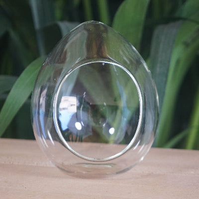 Terrarium en verre transparent en forme d'œuf vide prêt pour une décoration