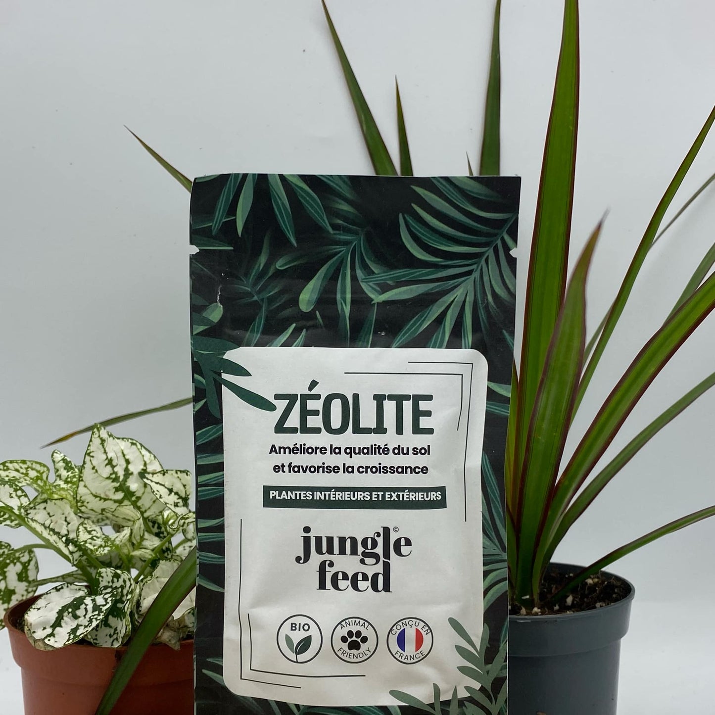 zeolite pure vu de face avec des plantes en arrière plan