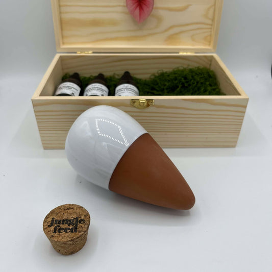 Comment les ollas peuvent-elles améliorer la santé des plantes