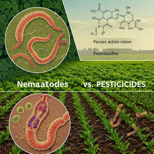 nématodes vs pesticides traditionnels