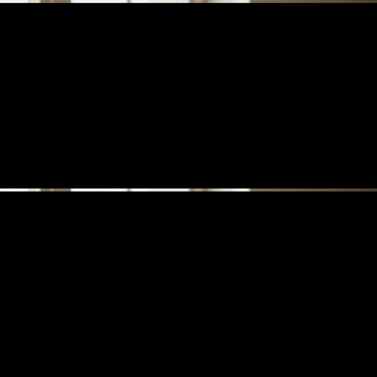 Un sachet de 'Jungle Buddies' de Jungle Feed, avec un design de feuilles de Monstera vertes et blanches.