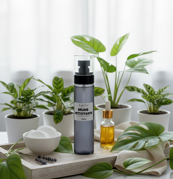 rumisateur nettoyant 'Brume Nettoyante' avec un flacon d'huile et des cotons, entouré de plantes vertes dans une ambiance lumineuse
