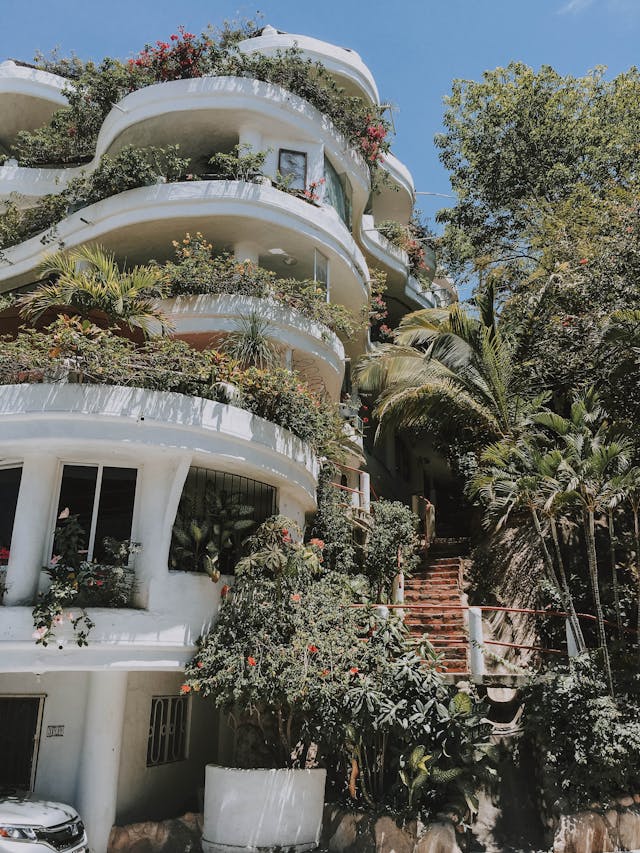 Jardinage Urbain : Décorer Votre Balcon Avec Des Plantes et Des Fleurs - Jungle Feed