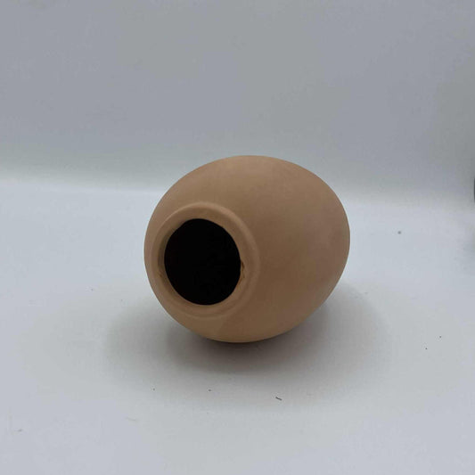 Optimiser l’arrosage en hiver : astuces pour éviter le sur-arrosage