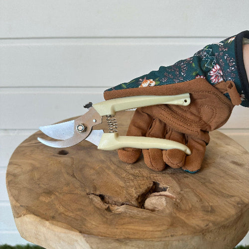 Quels outils choisir pour un entretien facile de vos plantes d’intérieur ?