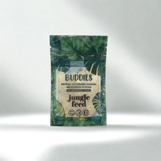 Anti Thrips, moucherons de terreaux et cochenilles - Buddies - 1 à 3 plantes