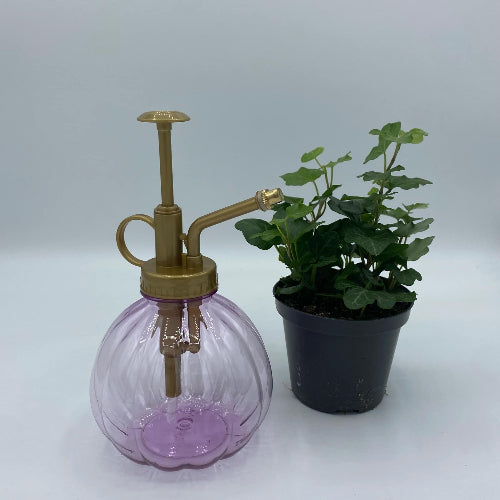 Vaporisateur pour plantes - Léger et pratique