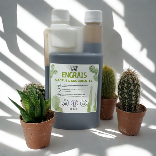Engrais bio cactus & succulentes - 500ml
