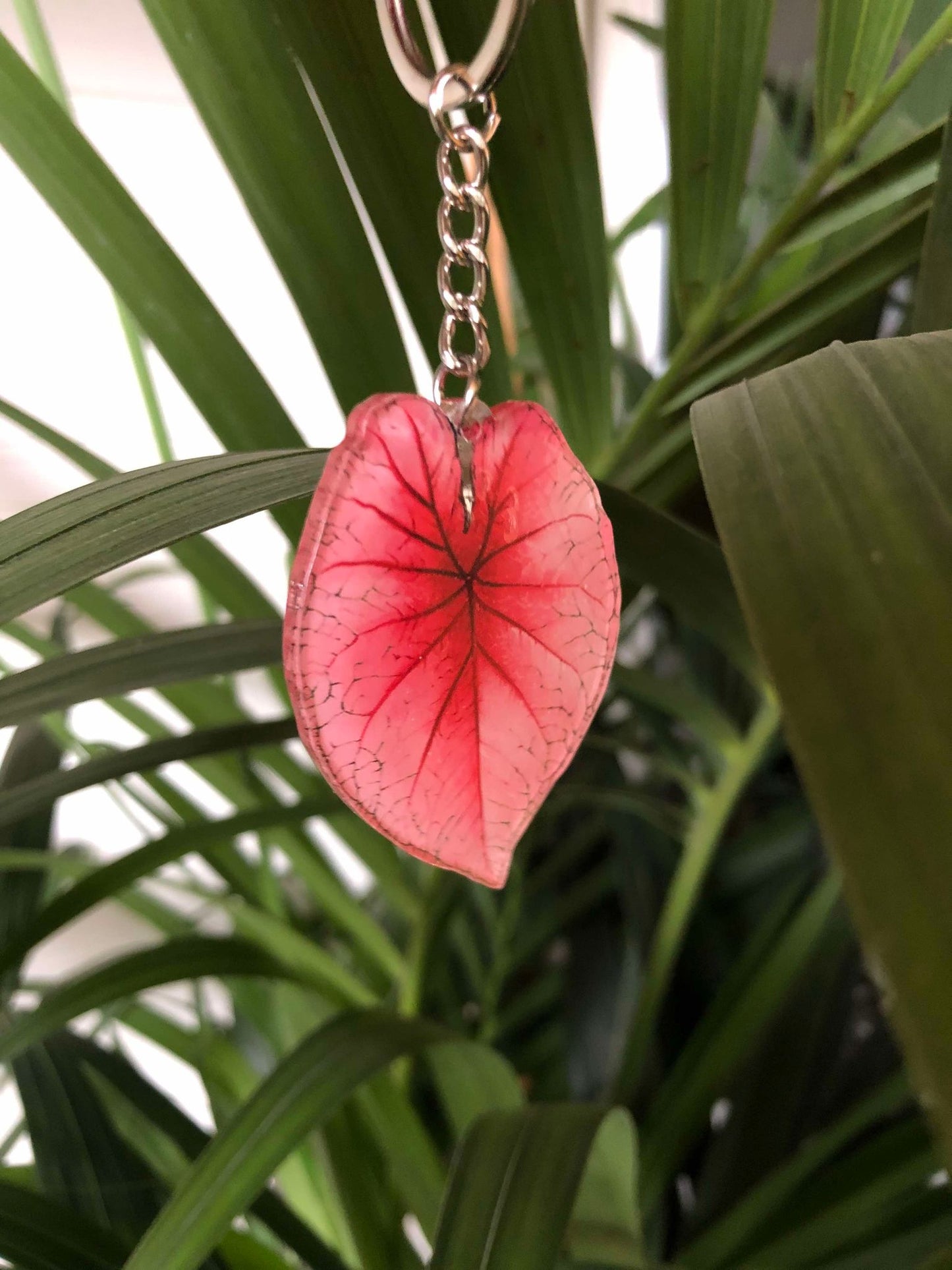 Porte-clés feuille de plante en acrylique - colorés et élégants