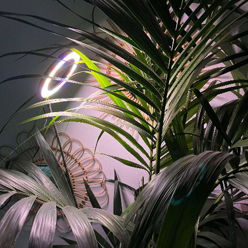 Grande lampe LED de croissance pour plantes 155cm