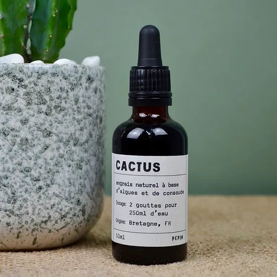 Engrais liquide cactus