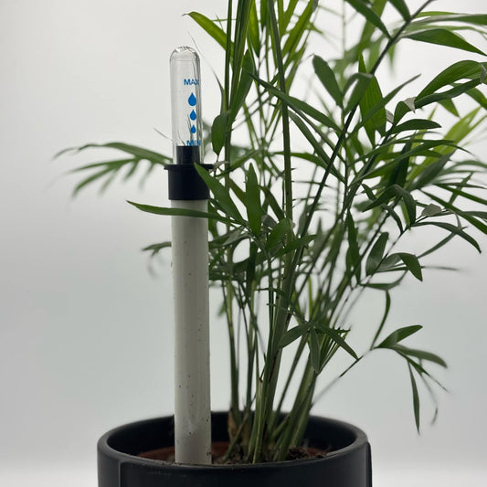 Plant Moisture Sensor - Watering Control