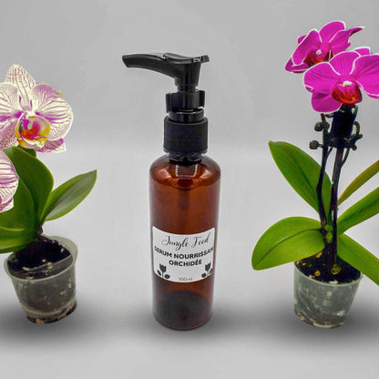 Sérum nourrissant pour orchidées