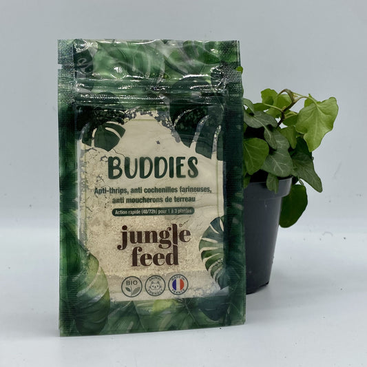 Anti parasites des plantes : Thrips, moucherons de terreaux et cochenilles - Buddies