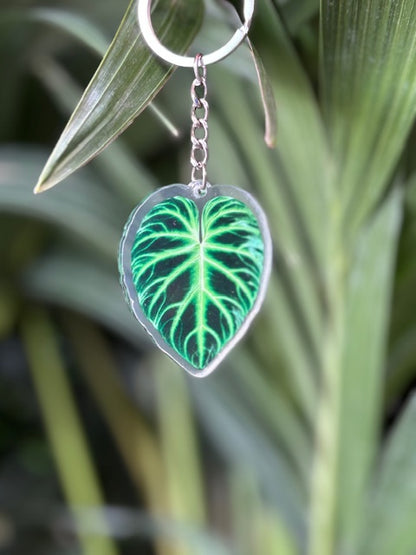 Porte-clés feuille de plante en acrylique - colorés et élégants