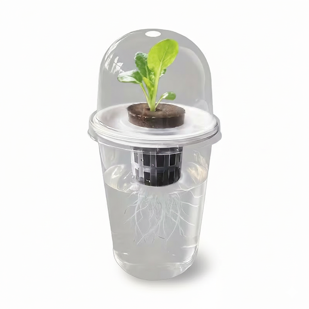 Système hydroponique individuel en plastique transparent avec une jeune pousse verte, montrant le panier de culture et le développement des racines dans l'eau sur fond blanc.