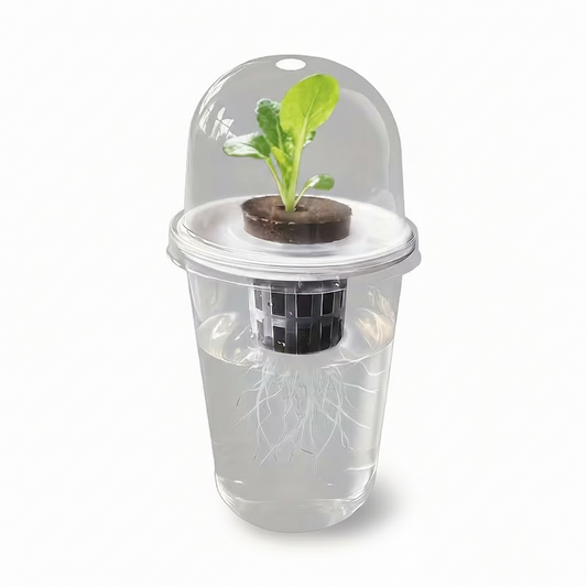 Système hydroponique individuel en plastique transparent avec une jeune pousse verte, montrant le panier de culture et le développement des racines dans l'eau sur fond blanc.