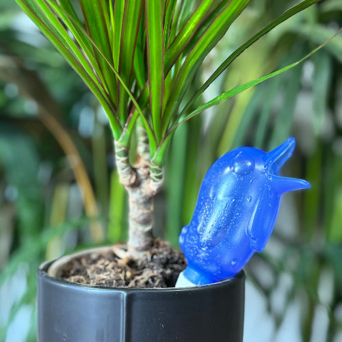 Oya pingouin bleu planté dans une plante