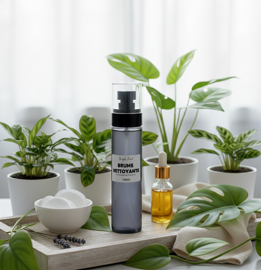 rumisateur nettoyant 'Brume Nettoyante' avec un flacon d'huile et des cotons, entouré de plantes vertes dans une ambiance lumineuse